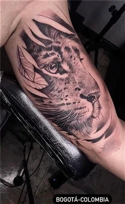 Què significa el tatuatge de mig tigre?